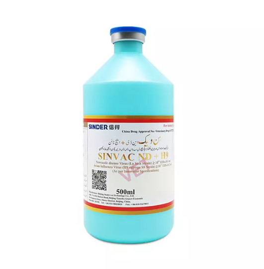 مرغیوں کو بیماری کا سب سے عام طریقہ کیا ہے؟