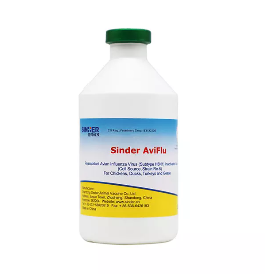 ایویئن انفلوئنزا پولٹری کی صحت کو کیسے متاثر کرتا ہے؟