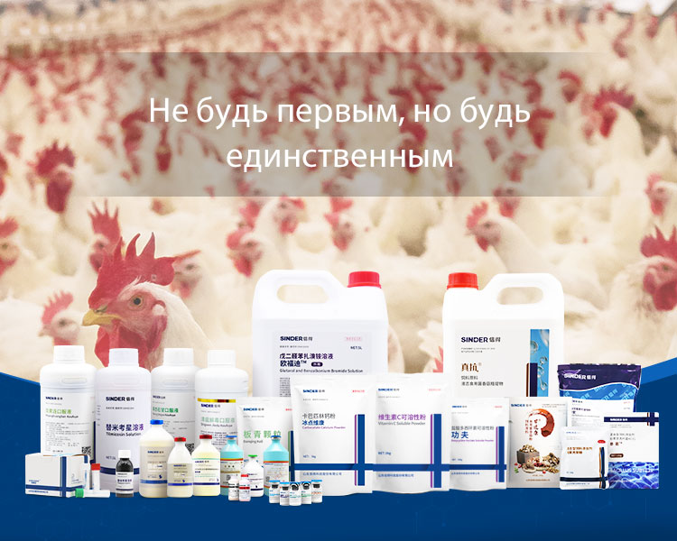 مویشیوں کی صحت کی دیکھ بھال میں میڈیسن کا کردار